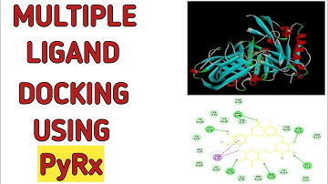 Multiple Ligand Docking | Step By Step Multiple Ligand Molecular Docking Using PyRx | PyRx Tutorial