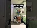 Are you an OG?? #danceshorts #dance #fypシ゚viral #og