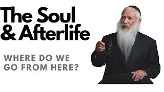 The Soul and the Afterlife  Where Do We Go From Here?