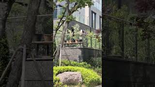 판교 대장동 둘러보기 -대장지구-