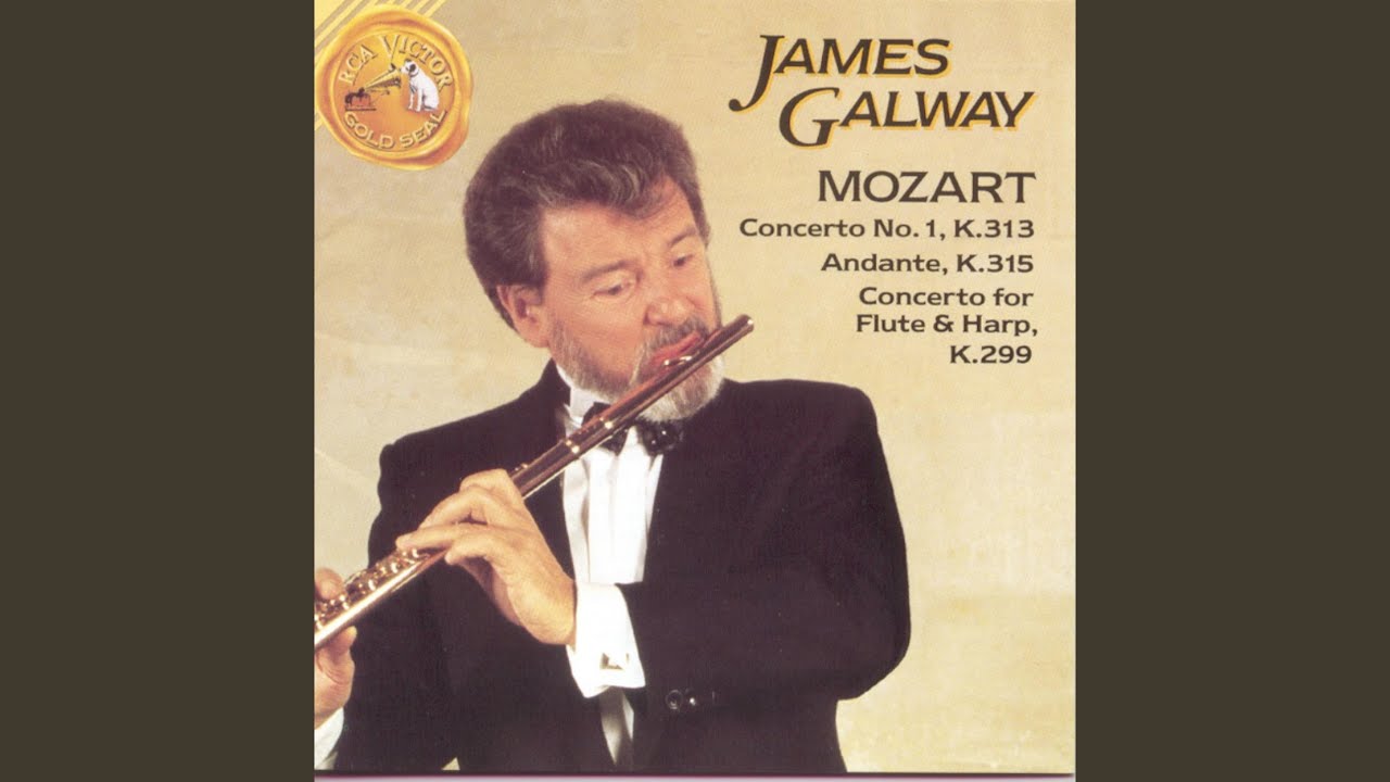 (未使用･未開封品)　Virtuoso Flute Concertos lok26k6 Claire Piccolo Flute Virtuoso - 8Dio Solo Woodwind Instrument