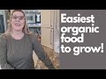 The *Cheapest* Way to Grow Organic Vegetables — Even in a Closet With No Light! 🌱💡