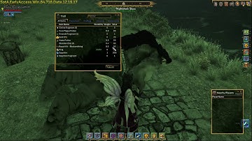 Shroud of the Avatar - Adventuring - Rare Loot