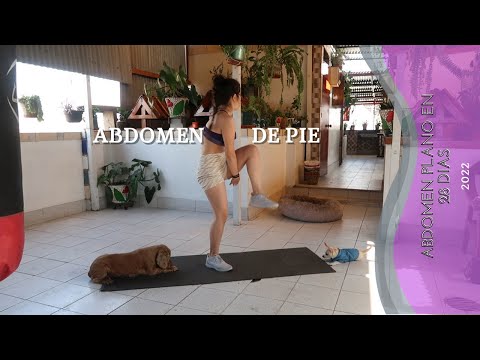 10 min ⌚ - ABDOMINALES DE PIE EN 28 Días | Programa de entrenamientos Gratuitos