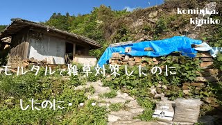 japan countryside house renovation