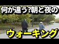 朝と夜のウォーキングは何が違う?それぞれの効果・メリットとは?ダイエットだけではない驚きの効果、注意点とは?知ってよかった健康雑学