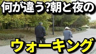 朝と夜のウォーキングは何が違う?それぞれの効果・メリットとは?ダイエットだけではない驚きの効果、注意点とは?知ってよかった健康雑学