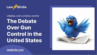 The Debate Over Gun Control in the United States - Essay Example