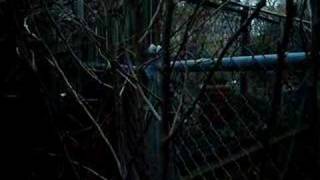 A voice in the dark