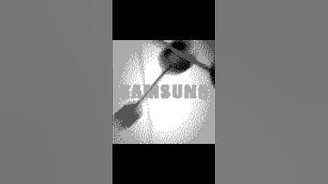 Samsung SGH-E335 Startup and Shutdown (2 Variants, External Display)