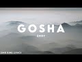 $NOT - GOSHA (Lyrics)