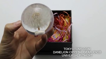 Dandelion Gear Knob universal