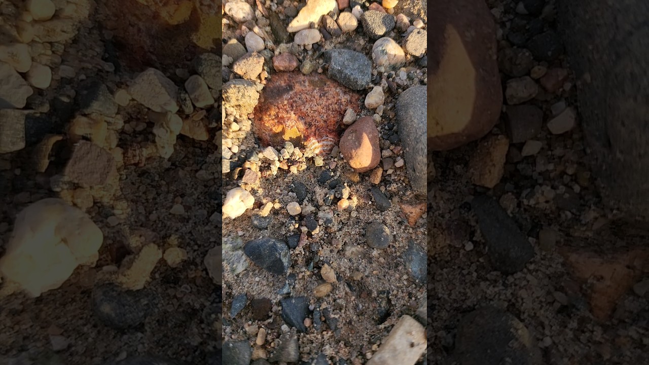 ICEBERG AHEAD! 13.9oz Lake Superior Agate With Amethyst! #amethyst #lakesuperioragate #agate #whoa