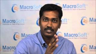 Macrosoft Staffing Services and Team Structure