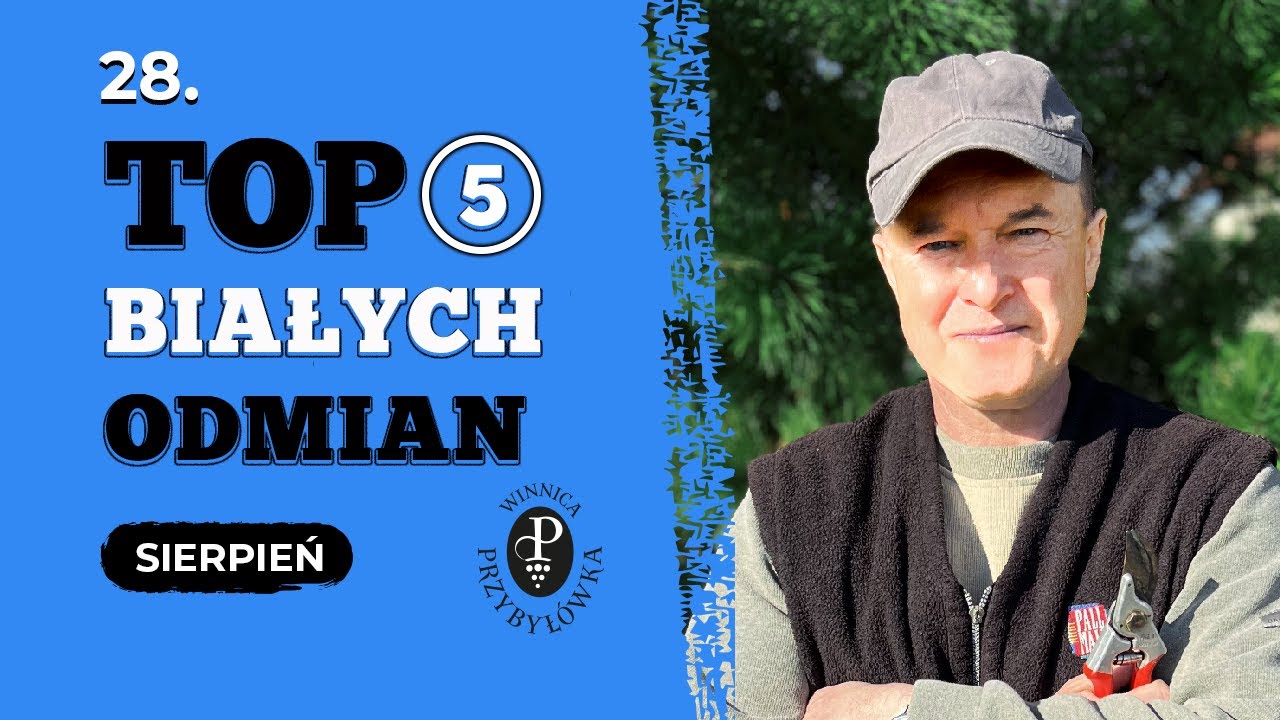 Moje 5 TOP odmian białych winogron