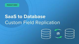 Salesforce to DataBase CustomField - Product Demo
