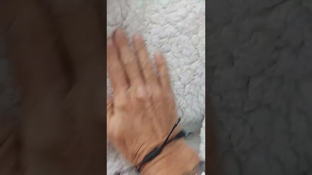 Amazon Basics Ultra Soft Micromink Sherpa Comforter 3 Piece Bedding Se