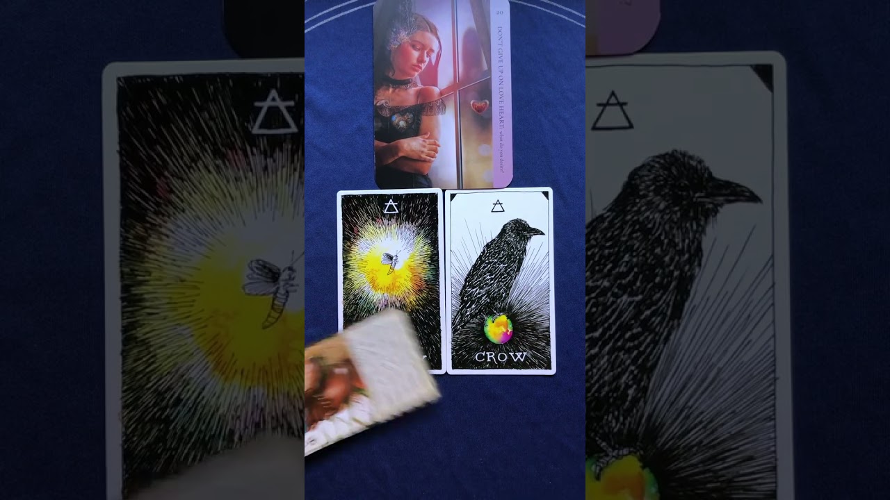 A Creative Person Who Fears Love. 