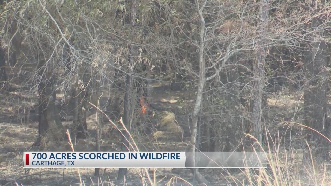 Panola County wildfire