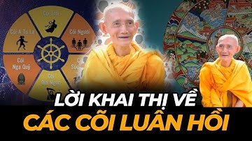 Lời Khai Thị Về Các Cõi Luân Hồi (RẤT DỄ HIỂU) - Thầy Thích Giác Khang