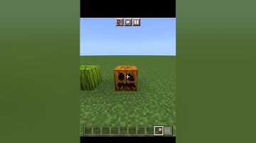 Minecraft 1.20 Logic #minecraft #shorts #gaming