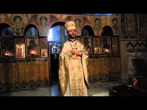 დეკანოზი მიქაელ გალდავა 10 05 2015 სამარიტელის კვირა