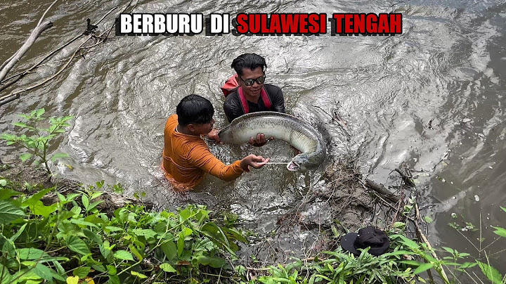 8 DAYS LOOKING FOR EEL, FISH, SHRIMP, FRUIT & MAKING LUXURY FOOD IN THE NATURE OF SULAWESI😅 #boca...
