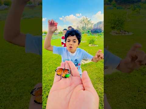 الفراشة اخذت وحدة مربيلا من البيبي