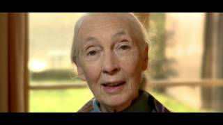 Dr. Jane Goodall on Recycling Cell Phones