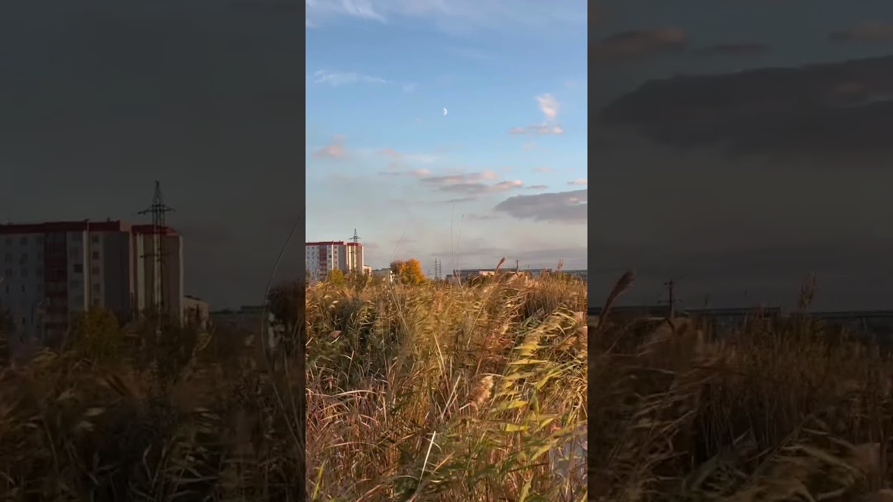 Осенние мотивы #nature #природа #утки #настроение #закат #piano #pianocover