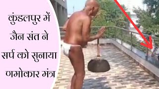 कुंडलपुर में जैन संत के सामने आया सर्प , ऐलक मुनि ने सर्प को सुनाया णमोकार मंत्र