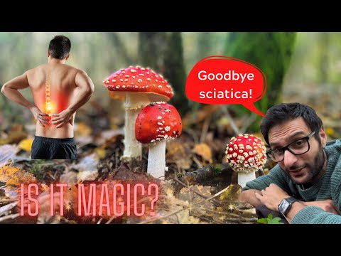 Fly Agaric: Ancient Medicine for Modern Sciatica Pain