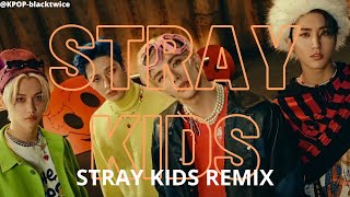 Stray Kids Remix Thunderous Maniac Back Door Cheese Cirus 
