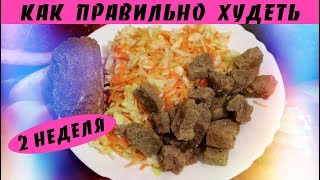 ХУДЕЕМ НА ПП/Дневник ПРАВИЛЬНОГО питания/2 неделя ХУДЕЕМ НА ПП/Дневник ПРАВИЛЬНОГО питания/2 неделя
