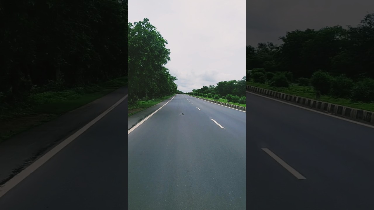 Green Nature Road Trip 