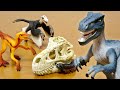 シュライヒ 恐竜 72128 ヴェロキラプトルハンティングセット Schleich Dinosaur