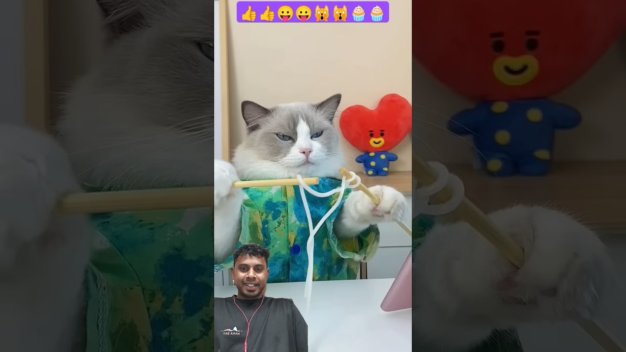 cat new technic hack 🙀🙀 