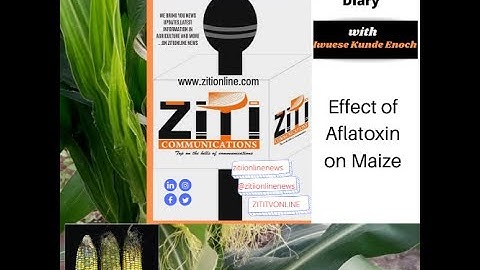 Farmers Diary : Effect of Aflatoxin on Maize - watch vidoe