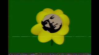 Analog Nightmares Flowers