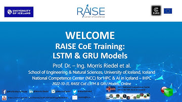 RAISE CoE Training: LSTM and GRU
