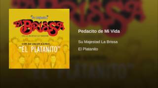 Video thumbnail of "Su Majestad La Brissa - Pedacito de Mi Vida"