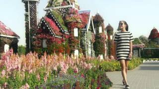 Ana Ivanovic Blooms In Dubai Miracle Garden