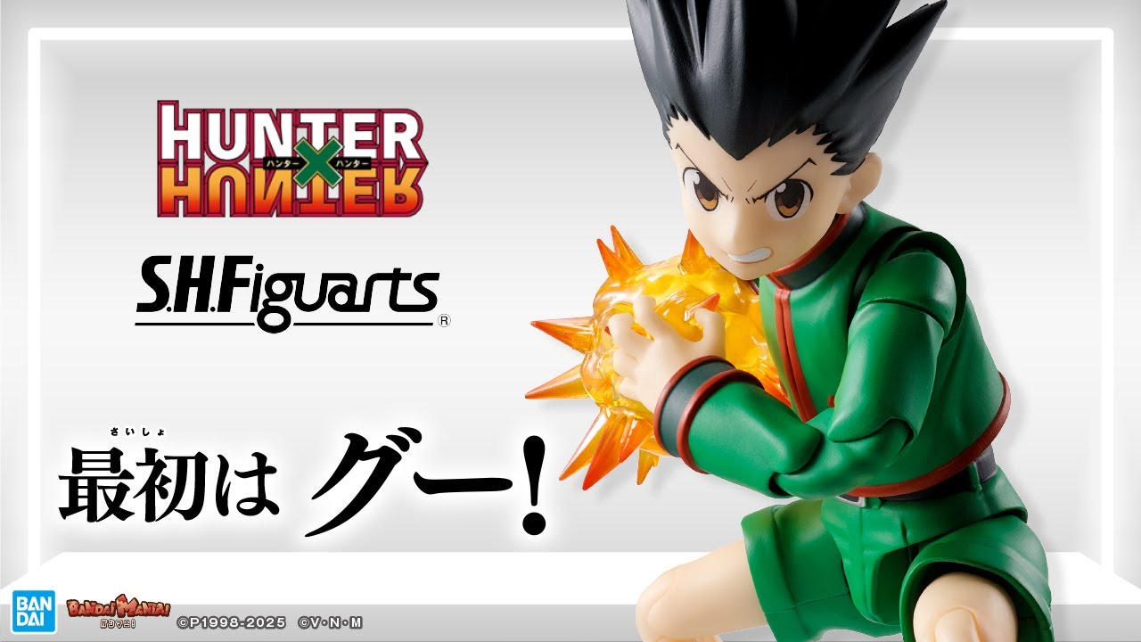Gon and Killua from 