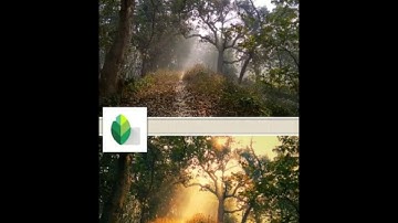 snapseed photo editing,add fog,snapseed editorial 2019