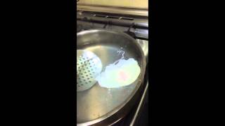 pouched Eggs  بيض مقلي في الماء - شكل غير عادي