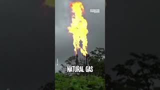 Watch This Amazing Waste Gas Burner Explosion