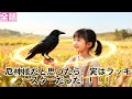 【日本語吹き替え】不吉なことを言う子と言われた女の子は、実は小さな幸運の星だった！！！家族全員が幸運になっていった！！！！#短編ドラマ #minidrama