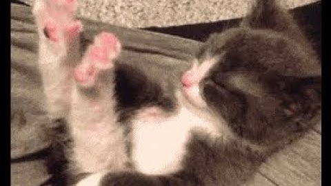 Search, Nav, Support Iteration Planning