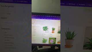 Bikin Web Fullstack Gak Sampai 30 Menit. Lengkap dengan Sync Frontend Backend pakai My Sql