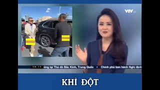 2 con khỉ đột này lạ quá !!! #animals #phobolsatv #toiyeuvietnam #fyp #viral 